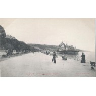 Nice - Promenade des Anglais - édition Picard,Nice